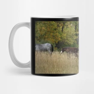 Wild Horse Foal Mug